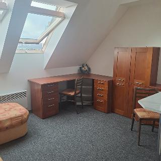 Prodej bytu 1+kk a garsoniéry 24 m² Praha, Novovysočanská