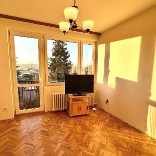 Pronájem bytu 3+1 65 m² Praha, V Parníku