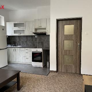 Pronájem bytu 1+kk a garsoniéry 32 m² Dalovice, Pod Strání