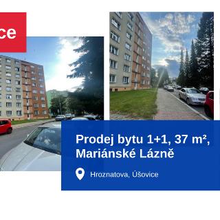 Prodej bytu 1+1 37 m² Mariánské Lázně, Hroznatova