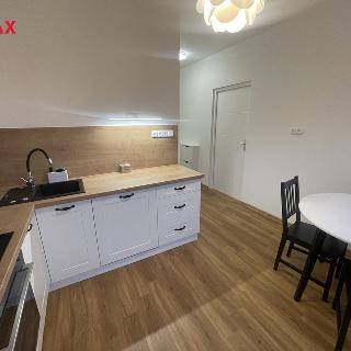 Pronájem bytu 1+1 36 m² Nejdek, Rolavská