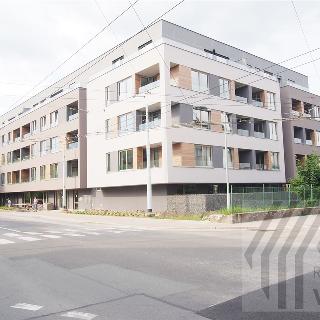 Pronájem bytu 1+kk a garsoniéry 39 m² Pardubice, Štrossova