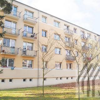 Prodej bytu 2+kk 40 m² Svitavy, Riegrova