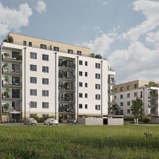 Prodej bytu 3+kk 80 m² Rychnov nad Kněžnou, Mírová