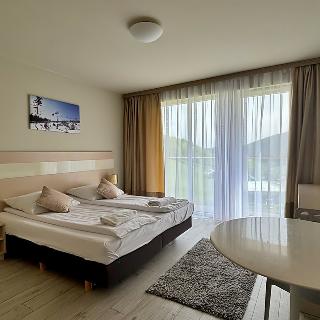 Prodej hotelu a penzionu 28 m² Dolní Morava, 