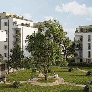 Prodej bytu 5+kk 171 m² Rychnov nad Kněžnou, Mírová