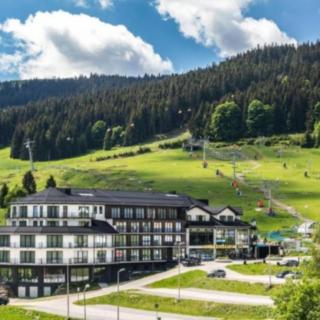 Prodej hotelu a penzionu 25 m² Dolní Morava