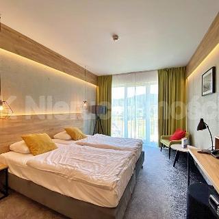 Prodej hotelu a penzionu 25 m² Dolní Morava, 