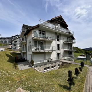 Prodej hotelu a penzionu 28 m² Dolní Morava