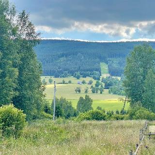 Prodej stavební parcely 3 001 m² Orlické Záhoří, 