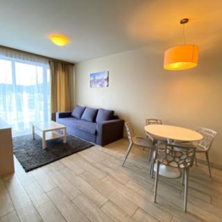 Prodej hotelu a penzionu 41 m² Dolní Morava