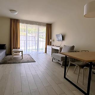 Prodej hotelu, penzionu 52 m&sup2; Dolní Morava