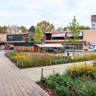 Prodej obchodu 2 300 m² Pardubice, Ohrazenická