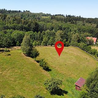 Prodej stavební parcely 2456 m&sup2; Olešnice v Orlických horách