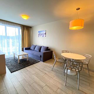 Prodej hotelu a penzionu 41 m² Dolní Morava, 