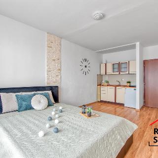 Pronájem bytu 1+kk a garsoniéry 31 m² Karviná, Studentská