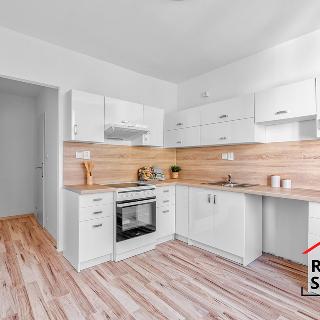 Pronájem bytu 1+1 38 m² Karviná, Dělnická