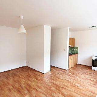 Pronájem bytu 1+kk a garsoniéry 29 m² Frýdek-Místek, Sadová