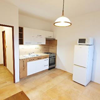 Pronájem bytu 1+1 37 m² Frýdek-Místek, Frýdlantská