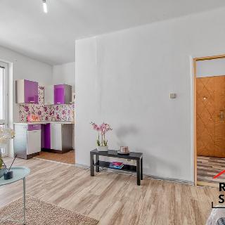 Pronájem bytu 1+kk a garsoniéry 21 m² Karviná, Kosmonautů