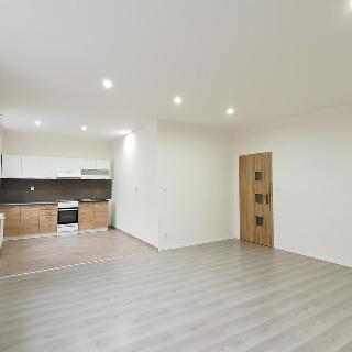 Pronájem bytu 3+kk 71 m² Ostrava, Nivnická