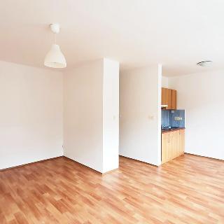 Pronájem bytu 1+kk a garsoniéry 29 m² Frýdek-Místek, Sadová