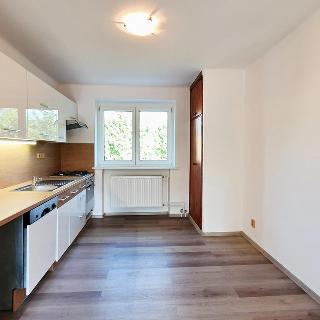 Pronájem bytu 2+1 46 m² Frýdek-Místek, Puškinova