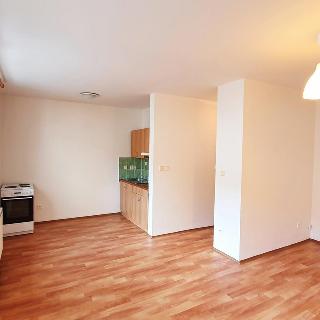 Pronájem bytu 1+kk a garsoniéry 32 m² Frýdek-Místek, Sadová