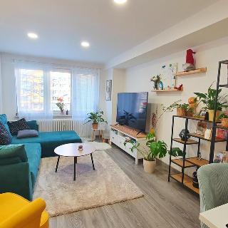 Pronájem bytu 2+1 48 m² Frýdek-Místek, Jaroslava Lohrera