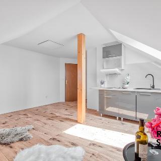 Pronájem bytu 1+kk a garsoniéry 28 m² Skotnice