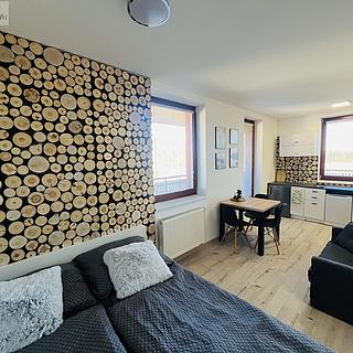 Pronájem bytu 1+kk, garsoniery 39 m² Čeladná