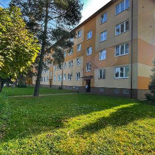 Pronájem bytu 2+kk 51 m² Ostrava