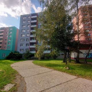 Pronájem bytu 1+kk a garsoniéry 24 m² Ostrava, U Parku