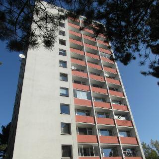 Prodej bytu 3+1 63 m² Ústí nad Labem, Hoření