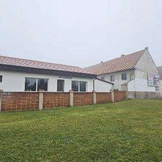 Prodej rodinného domu 340 m² Polepy