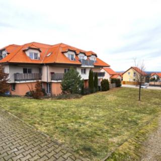 Pronájem bytu 3+1 60 m² Holubice