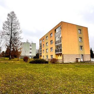 Prodej bytu 3+1 74 m² Jiříkov, Teplická