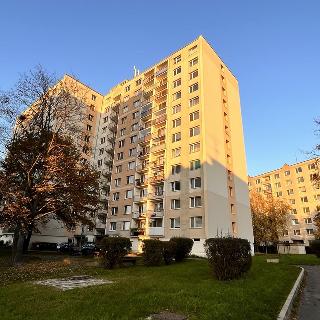 Prodej bytu 2+1 64 m² Ústí nad Labem, Nová