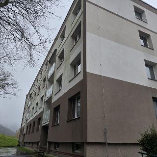 Prodej bytu 3+1 63 m² Ústí nad Labem, Peškova