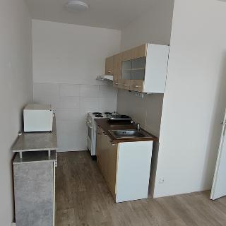 Pronájem bytu 2+kk 40 m² Litoměřice, Alfonse Muchy