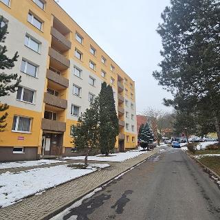 Pronájem bytu 1+1 37 m² Chlumec, Tuchomyšlská