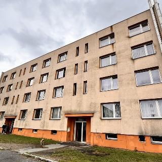 Prodej bytu 2+1 57 m² Šluknov, Sídliště