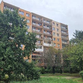 Prodej bytu 2+kk 41 m² Litoměřice, Nezvalova