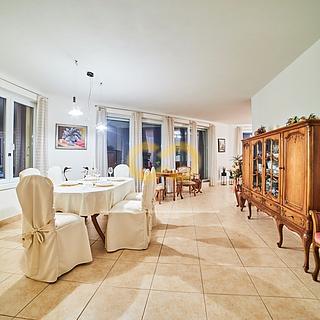 Prodej bytu 3+kk 200 m&sup2; Planá nad Lužnicí