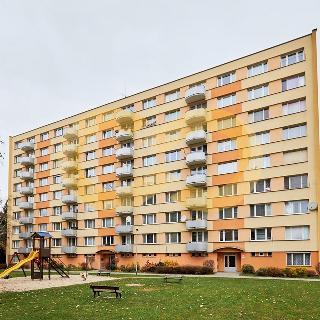 Prodej bytu 1+kk a garsoniéry 21 m² České Budějovice, Pražská tř.