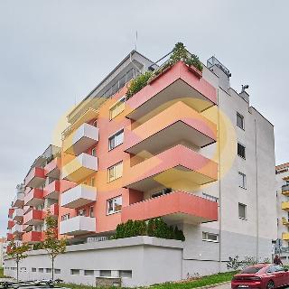 Prodej bytu 2+kk 50 m² Brno, Chudčická