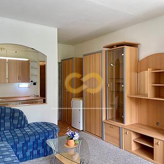 Pronájem bytu 1+kk, garsoniery 24 m&sup2; Strakonice