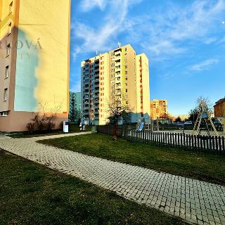 Prodej bytu 2+kk 42 m² České Budějovice, J. Bendy