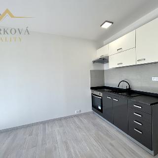 Pronájem bytu 1+kk a garsoniéry 29 m² Týn nad Vltavou, Komenského