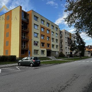 Pronájem bytu 1+1 45 m² Bechyně, Libušina